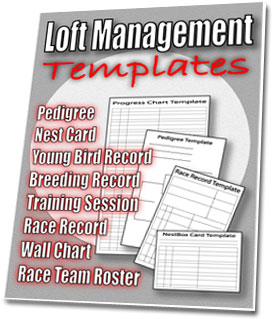 Fast Action Bonus #2 : Loft Management Templates