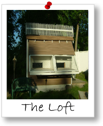 Module 1: The Loft & Loft Management