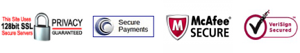 100% Secure Online Payments