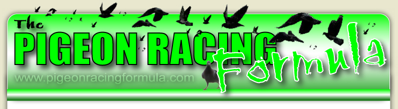 Pigeon Racing Formula