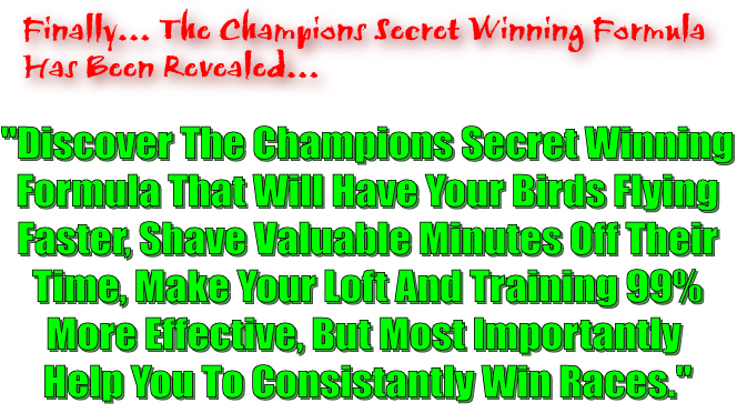 Learn the champion pigeon fanciers secret winning pigeon racing formula